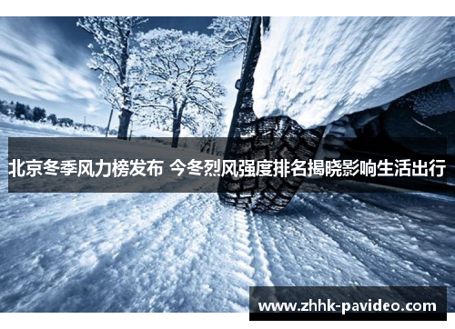 北京冬季风力榜发布 今冬烈风强度排名揭晓影响生活出行